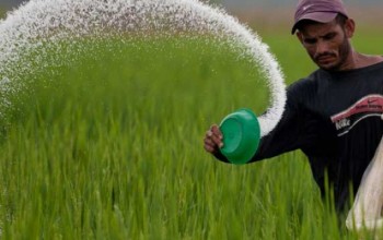 चीनबाट मगाएको रासायनिक मल आउन सुरु